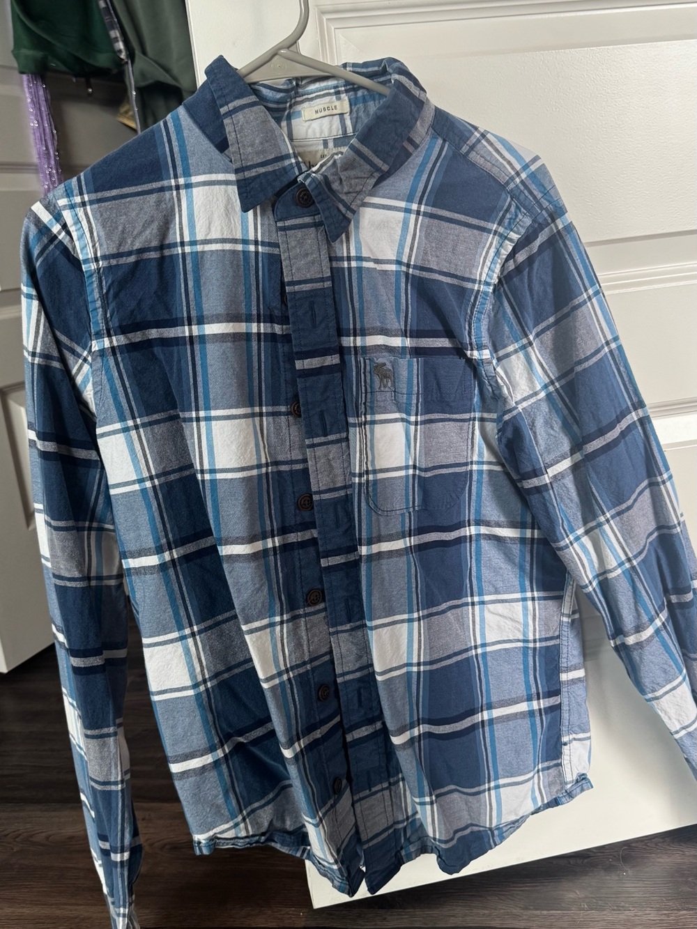 Abercrombie & Fitch Blue Plaid Button-Down Shirt
